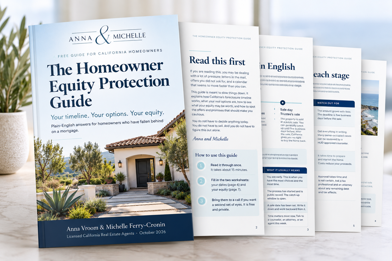 The Homeowner Equity Protection Guide by Anna Vroom and Michelle Ferry-Cronin